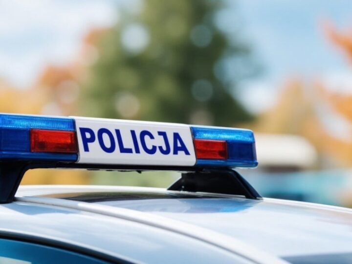 Niewybuch w Brodach: Policja i saperzy w akcji