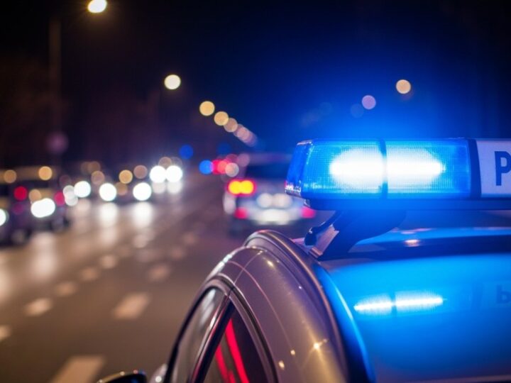 Policjanci z Jasienicy odzyskali maskotkę. Miała być prezentem dla młodszej siostry